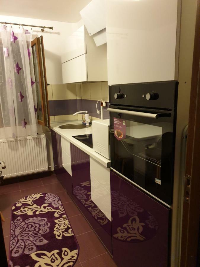 Apartament Oana'S Home Orşova Екстериор снимка