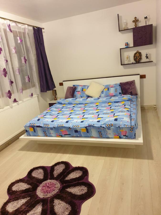 Apartament Oana'S Home Orşova Екстериор снимка